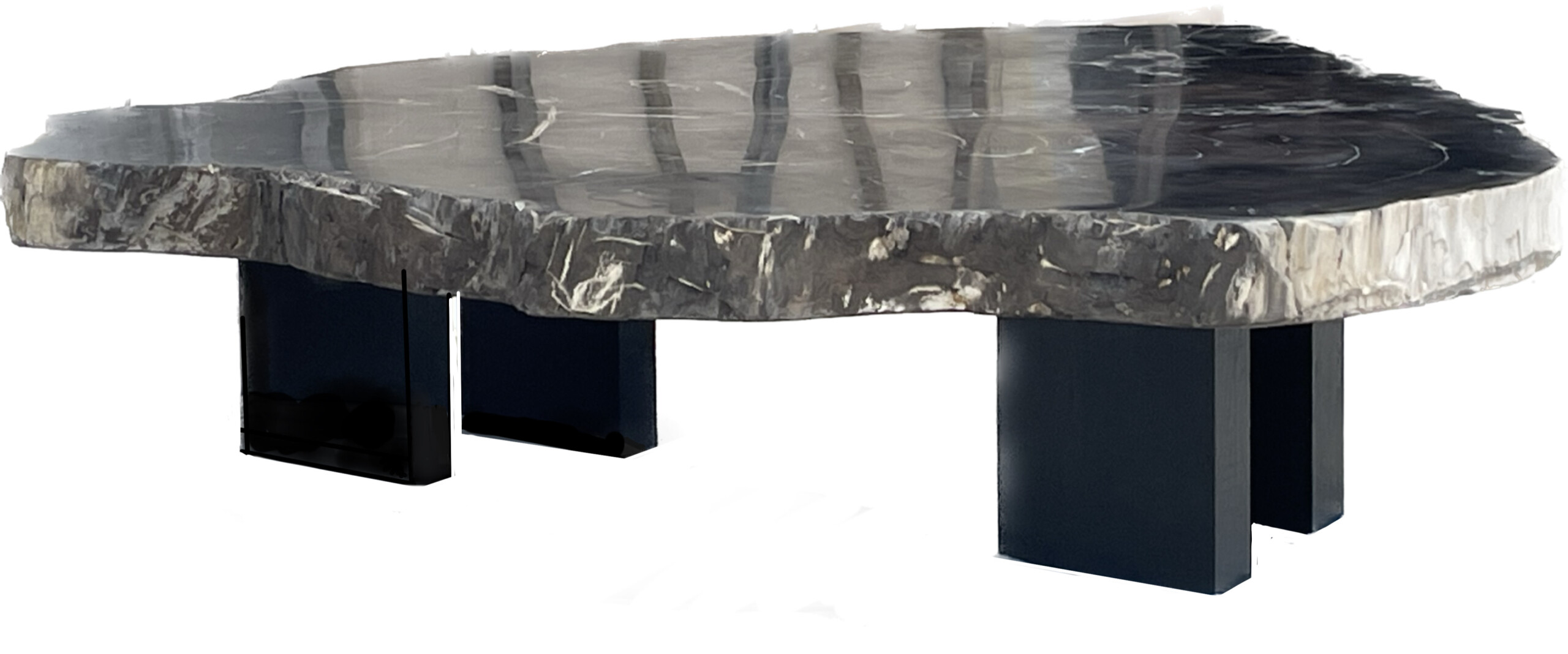 Petrified Wood Table Primary